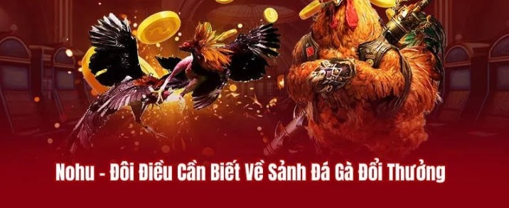 Sới gà online chất lượng với những chiến kê mạnh nhất từ Đông Nam Á