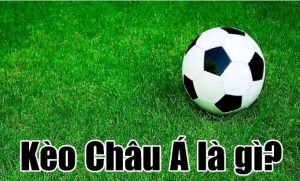Tham gia cá độ tại nhà cái đơn giản