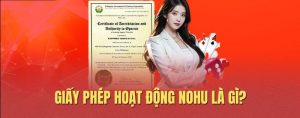 Tổng quan về giấy phép hoạt động Nohu