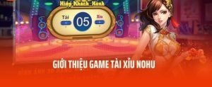 Vài thông tin sơ lược về game tài xỉu Nohu