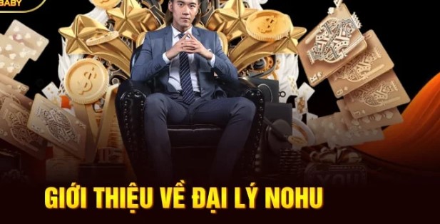 4 quyền lợi của đối tác Nohu