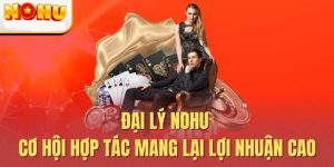 Các điều kiện đơn giản đại lý Nohu cần đáp ứng